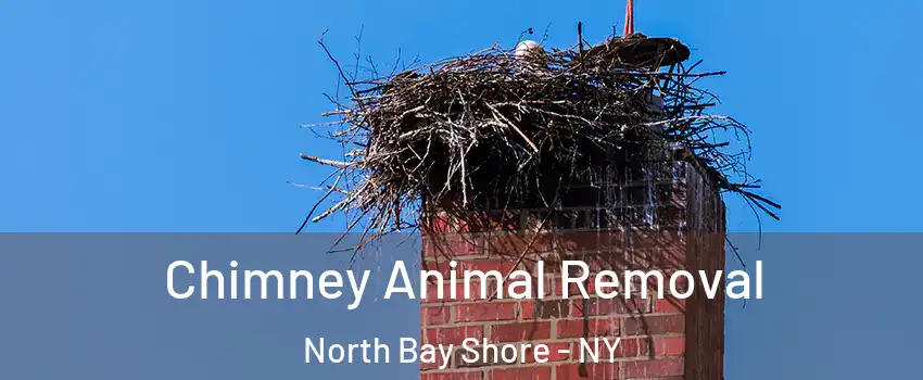  Chimney Animal Removal North Bay Shore - NY