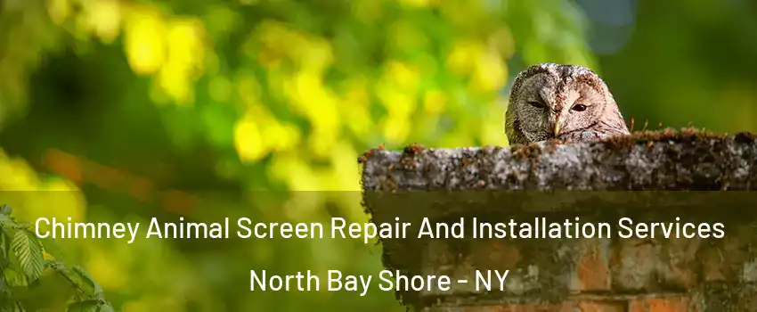  Chimney Animal Screen Repair And Installation Services North Bay Shore - NY