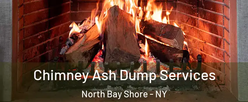  Chimney Ash Dump Services North Bay Shore - NY