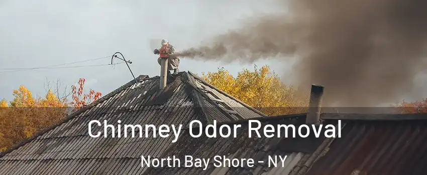  Chimney Odor Removal North Bay Shore - NY