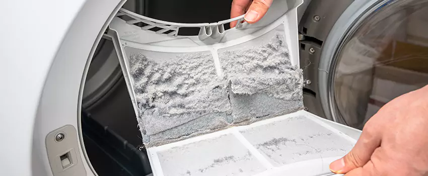 Best Dryer Lint Removal Company in North Bay Shore, New York
