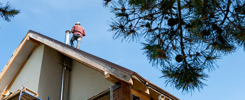 Birds Removal Contractors from Chimney in North Bay Shore, NY